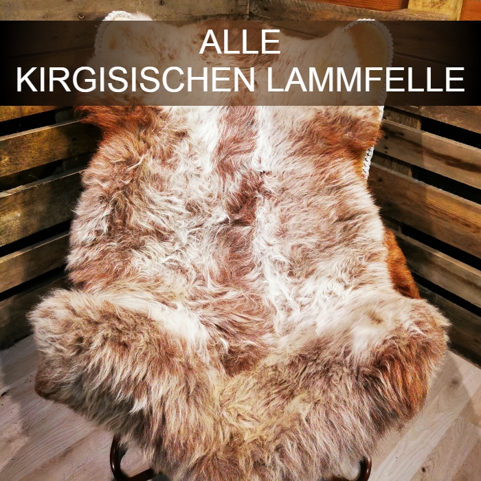 ALLE KIGISISCHEN